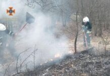 На Вінниччині в екосистемі пожеж більшає Пожежі в екосистемі