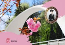«Пензлем натхненниць малюємо місто»: екскурсія в історію життя відомих жінок Вінниці Екскурсія про жінок