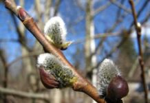 Погода у Вінниці. Перемінна хмарність без опадів Прогноз погоди