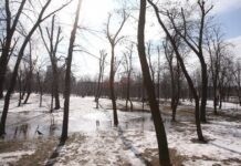 День у Вінниці буде холодним, але без опадів Прогноз погоди