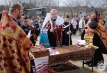 На Вінниччині в містечку Десна освятили Хрест та купол для Храму митрополит Вінницький і Барський Симеон освятив купол і хрест для храму