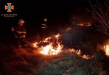 На Вінниччині загасили чотири пожежі в екосистемах пожежі в екосистемах