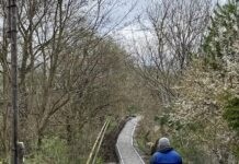 У Вінницьких Хуторах облаштовують «алею -перехід» з’єднує два села