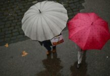 Захопіть парасольку. У Вінниці цілий день йтиме дощ Хмарна погода