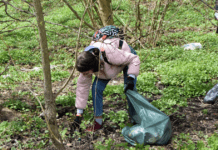 «Вінницькі Вовки» влаштовують прибирання міста спільне прибирання міста