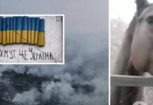 На околицях Бахмута прикордонники з Вінниччини доглядають покинутого коня прикордонники знайшли коня,