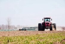 На Вінниччині виробили 164 тисячі тонн цукру Аграрії Вінниччини