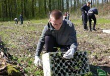 Лісу бути: на Вінниччині лісівники зі студентами висадили 4 тисячі дубів весняну висадка
