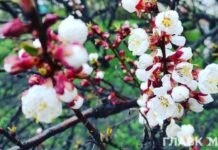 Сьогодні у Вінниці похмура погода без опадів Погода вкрите хмарами