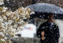 Дощі не припиняються: погода у Вінниці на сьогодні, 9 квітня Прогноз погоди