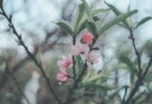 Знову дощитиме: погода у Вінниці на сьогодні, 19 квітня Прогноз погоди