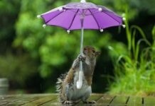 У Вінниці сьогодні спекотна погода та імовірно буде гроза хмарна погода.