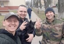 Тварини з передової: Вінницькі волонтери врятували в Бухмуті цуценя та кошеня собачка Мі-6