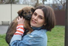 Евакуйовані та місцеві собаки з Вінницького муніципального притулку для тварин в проекті «Хочу додому». Відео