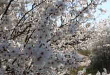 У Вінниці сьогодні тепла і сонячна погода сонячна погода