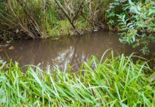 Вінничан запрошують в суботу на прогулянку малими річками міста малі річки