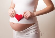 Безоплатні послуги та супровід. Вагітні вінничанки можуть скористатись чат-ботом «Буду мамою» чат-бот для вагітних жінок — «Буду мамою»