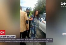 Вінницький апеляційний суд пом’якшив вирок для жінки, яка знесла паркан та ледь не вбила 13 річного підлітка