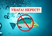 Від сьогодні на Вінниччині діє нерестова заборона на вилов риби