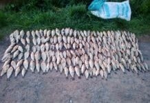 У Літинській громаді браконьєри нарибалили карасів на понад 330 тис. грн рибоохоронний патруль