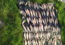 На Вінниччині браконьєр нарибалив на 670 тисяч гривень незаконно виловлював рибу