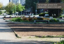 У Вінниці засіяли тестову ділянку декоративних луків у Вишенському парку