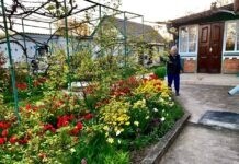 Двоє братів з Вінниччини пішли на війну: один за Україну, інший – за путіна Ніна Семенівна Кушнір