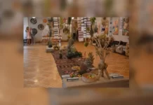 Вінницькі традиції рогозоплетіння внесли до нових елементів культурної спадщини Вінницькі традиції рогозоплетіння