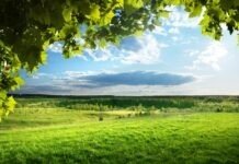 У Вінниці сьогодні спекотна погода Прогноз погоди