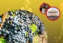 Як можна цікаво провести дозвілля: добірка заходів на вікенд 26-28 травня цікаві події