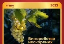 «Виноробство нескорених»: у Вінниці вперше відбудеться дегустаційна виставка Vinnytsia Wine Days Виноробство нескорених