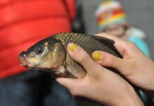 На Вінниччині відкрився сезон рибальства на річках вилов водних біоресурсів