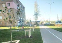 70 лип та 10 каштанів: у Десні висадили молоді дерева висадили 80 саджанців молодих дерев