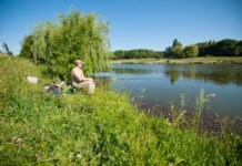 У Вінниці два ставки вирішили передати в оренду та створити зони відпочинку ставок