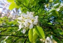 Хмарно, але тепло: погода у Вінниці на сьогодні, 3 травня похмура погода.