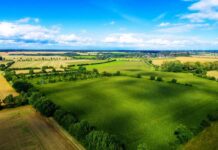 На Вінниччині конфіскують землі сільськогосподарського призначення в громадян росії земля