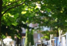 У Вінниці відбулась «фотосушка» юних авторів. Фото