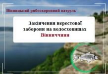 Вже завтра на Вінниччині закінчується нерестова заборона вилову риби