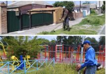 У Вінниці стартували роботи з покосу трави покіс трави