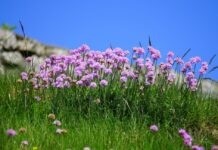 Тепло й похмуро: погода у Вінниці на сьогодні, 13 липня Прогноз погоди