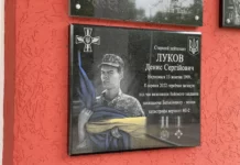 Навіки 22: у вінницькому ліцеї відкрили меморіальну дошку в пам’ять про загиблого льотчика Дениса Лукова Дениса Лукова