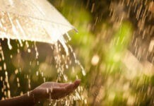 Сьогодні у Вінниці можливий дощ Прогноз погоди