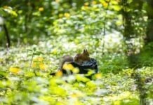 Хмарно, але без опадів: погода у Вінниці на сьогодні, 6 червня Прогноз погоди