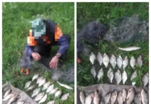 На Вінниччині браконьєр нарибалив на 45 тисяч гривень порушення правил рибальства