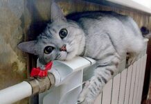 У Вінниці триває обстеження будинків на готовність до опалювального сезону