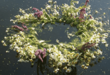 Свято Івана Купала: як правильно сплести купальський вінок плетінні вінка,