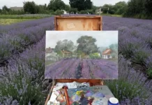 На лавандовому полі на Вінниччині художники малювали експозиціії Подільська лаванда