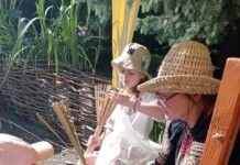 На Вінниччині народні майстрині відроджують традиції рогозоплетіння Рогозоплетіння
