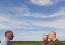 На Вінниччині розпочали збір врожаю перцю і баклажанів Збір овочів