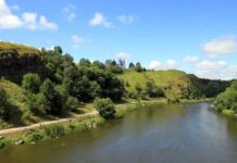 Фахівці екоінспекції Вінниччини звітували про дослідження проб води річки Південний Буг Південний Буг